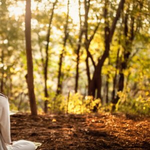 Group Regression Session • 1/11/2026